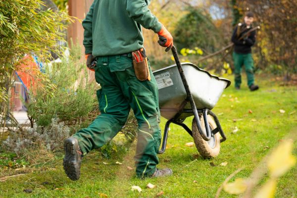 Top paysagistes à Chalon-sur-Saône pour transformer votre jardin